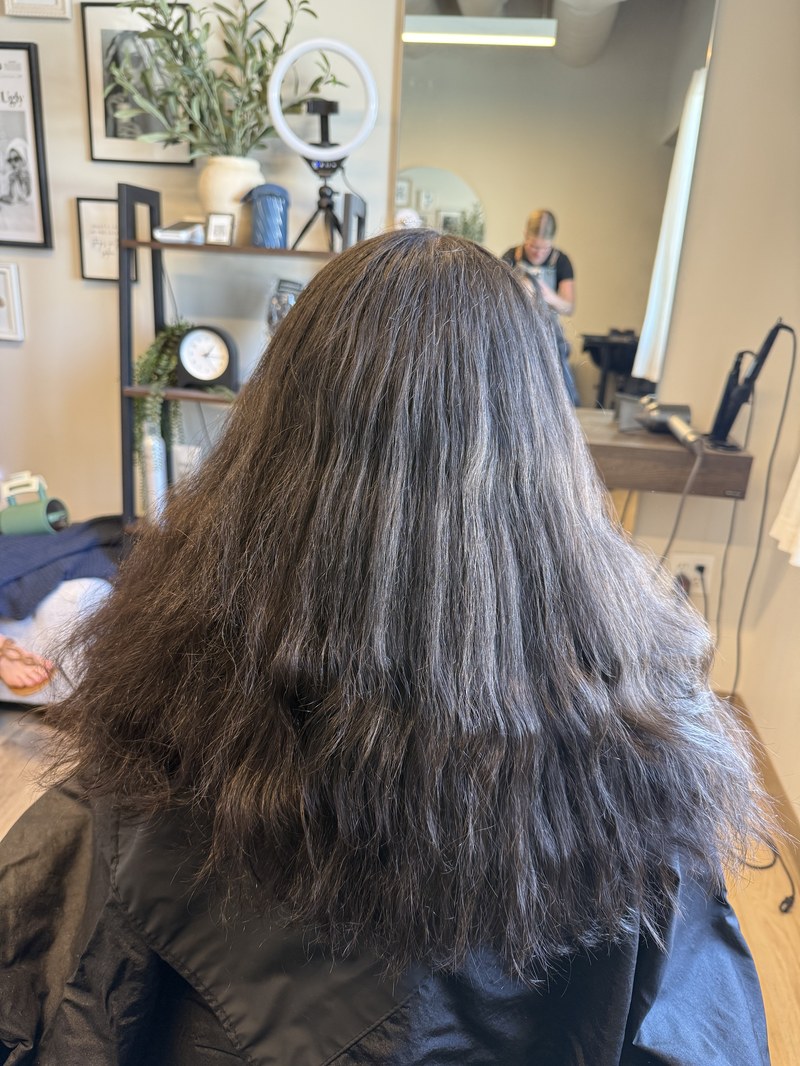 Before — hair transformation by Michelle Emmons
